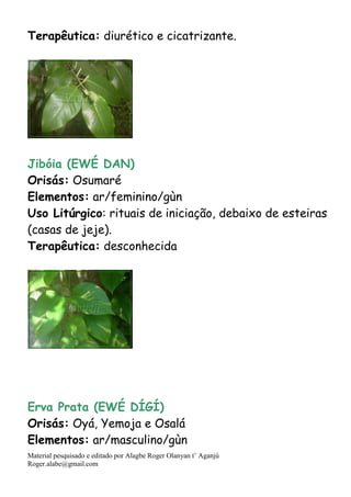Material pesquisado e editado por Alagbe Roger Olanyan t’ Aganjú
Roger.alabe@gmail.com
Terapêutica: diurético e cicatrizante.
Jibóia (EWÉ DAN)
Orisás: Osumaré
Elementos: ar/feminino/gùn
Uso Litúrgico: rituais de iniciação, debaixo de esteiras
(casas de jeje).
Terapêutica: desconhecida
Erva Prata (EWÉ DÍGÍ)
Orisás: Oyá, Yemoja e Osalá
Elementos: ar/masculino/gùn
 