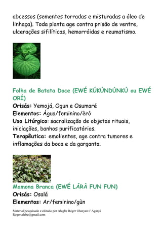 Material pesquisado e editado por Alagbe Roger Olanyan t’ Aganjú
Roger.alabe@gmail.com
abcessos (sementes torradas e misturadas a óleo de
linhaça). Toda planta age contra prisão de ventre,
ulcerações sifilíticas, hemorróidas e reumatismo.
Folha de Batata Doce (EWÉ KÚKÚNDÙNKÚ ou EWÉ
ORÍ)
Orisás: Yemojá, Ogun e Osumaré
Elementos: Água/feminino/èrò
Uso Litúrgico: sacralização de objetos rituais,
iniciações, banhos purificatórios.
Terapêutica: emolientes, age contra tumores e
inflamações da boca e da garganta.
Mamona Branca (EWÉ LÁRÀ FUN FUN)
Orisás: Osalá
Elementos: Ar/feminino/gùn
 
