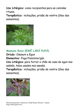 Material pesquisado e editado por Alagbe Roger Olanyan t’ Aganjú
Roger.alabe@gmail.com
Uso Litúrgico: como recipientes para as comidas
rituais.
Terapêutica: inchações, prisão de ventre (óleo das
sementes).
Mamona Roxa (EWÉ LÁRÀ PUPÁ)
Orisás: Osanyin e Egun
Elementos: Fogo/feminino/gùn
Uso Litúrgico: para forrar o chão da casa de egun nos
asésés, talos usados nos asesés.
Terapêutica: inchações, prisão de ventre (óleo das
sementes).
 