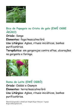 Material pesquisado e editado por Alagbe Roger Olanyan t’ Aganjú
Roger.alabe@gmail.com
Bico de Papagaio ou Crista de galo (EWÉ OGBE
ÀKÙKO)
Orisás: Sango
Elementos: fogo/masculino/èrò
Uso Litúrgico: Agbos, rituais iniciáticos, banhos
purificatórios.
Terapêutica: em gargarejos contra aftas, ulcerações
na garganta e faringe.
Rama de Leite (EWÉ OGBÓ)
Orisás: Osòósi e Osanyin
Elementos: terra/masculino/èrò
Uso Litúrgico: Agbos, rituais iniciáticos, banhos
purificatórios.
 