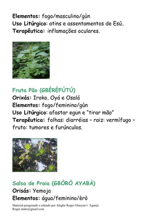 Material pesquisado e editado por Alagbe Roger Olanyan t’ Aganjú
Roger.alabe@gmail.com
Elementos: fogo/masculino/gùn
Uso Litúrgico: atins e assentamentos de Esú.
Terapêutica: inflamações oculares.
Fruta Pão (GBÈRÈFÚTÚ)
Orixás: Iroko, Oyá e Osalá
Elementos: fogo/feminino/gùn
Uso Litúrgico: afastar egun e “tirar mão”
Terapêutica: folhas: diarréias – raiz: vermífugo –
fruto: tumores e furúnculos.
Salsa de Praia (GBÒRÒ AYABÀ)
Orisás: Yemoja
Elementos: água/feminino/èrò
 
