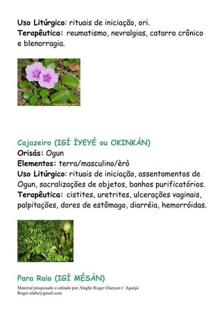 Material pesquisado e editado por Alagbe Roger Olanyan t’ Aganjú
Roger.alabe@gmail.com
Uso Litúrgico: rituais de iniciação, ori.
Terapêutica: reumatismo, nevralgias, catarro crônico
e blenorragia.
Cajazeiro (IGÍ ÌYEYÉ ou OKINKÁN)
Orisás: Ogun
Elementos: terra/masculino/èrò
Uso Litúrgico: rituais de iniciação, assentamentos de
Ogun, sacralizações de objetos, banhos purificatórios.
Terapêutica: cistites, uretrites, ulcerações vaginais,
palpitações, dores de estômago, diarréia, hemorróidas.
Para Raio (IGÍ MÉSÀN)
 