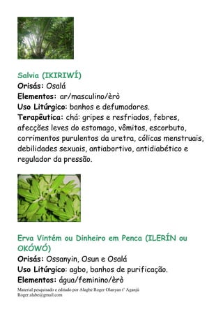 Material pesquisado e editado por Alagbe Roger Olanyan t’ Aganjú
Roger.alabe@gmail.com
Salvia (IKIRIWÍ)
Orisás: Osalá
Elementos: ar/masculino/èrò
Uso Litúrgico: banhos e defumadores.
Terapêutica: chá: gripes e resfriados, febres,
afecções leves do estomago, vômitos, escorbuto,
corrimentos purulentos da uretra, cólicas menstruais,
debilidades sexuais, antiabortivo, antidiabético e
regulador da pressão.
Erva Vintém ou Dinheiro em Penca (ILERÍN ou
OKÓWÓ)
Orisás: Ossanyin, Osun e Osalá
Uso Litúrgico: agbo, banhos de purificação.
Elementos: água/feminino/èrò
 