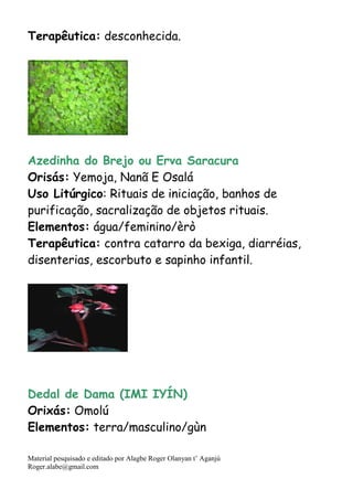 Material pesquisado e editado por Alagbe Roger Olanyan t’ Aganjú
Roger.alabe@gmail.com
Terapêutica: desconhecida.
Azedinha do Brejo ou Erva Saracura
Orisás: Yemoja, Nanã E Osalá
Uso Litúrgico: Rituais de iniciação, banhos de
purificação, sacralização de objetos rituais.
Elementos: água/feminino/èrò
Terapêutica: contra catarro da bexiga, diarréias,
disenterias, escorbuto e sapinho infantil.
Dedal de Dama (IMI IYÍN)
Orixás: Omolú
Elementos: terra/masculino/gùn
 