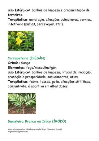 Material pesquisado e editado por Alagbe Roger Olanyan t’ Aganjú
Roger.alabe@gmail.com
Uso Litúrgico: banhos de limpeza e ornamentação de
terreiros.
Terapêutica: aerofagia, afecções pulmonares, vermes,
insetívoro (pulgas, percevejos, etc.).
Carrapeteira (ÌPÈSÁN)
Orixás: Sango
Elementos: fogo/masculino/gùn
Uso Litúrgico: banhos de limpeza, rituais de iniciação,
proteção e prosperidade, sacudimentos, atins.
Terapêutica: febre, tosses, gota, afecções sifilíticas,
conjuntivite, é abortiva em altas doses.
Gameleira Branca ou Irôco (ÌRÓKÒ)
 