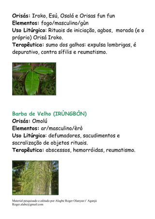 Material pesquisado e editado por Alagbe Roger Olanyan t’ Aganjú
Roger.alabe@gmail.com
Orisás: Iroko, Esú, Osalá e Orisas fun fun
Elementos: fogo/masculino/gùn
Uso Litúrgico: Rituais de iniciação, agbos, morada (e o
próprio) Orisá Iroko.
Terapêutica: sumo dos galhos: expulsa lombrigas, é
depurativo, contra sífilis e reumatismo.
Barba de Velho (IRÙNGBÒN)
Orisás: Omolú
Elementos: ar/masculino/èrò
Uso Litúrgico: defumadores, sacudimentos e
sacralização de objetos rituais.
Terapêutica: abscessos, hemorróidas, reumatismo.
 