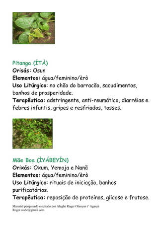 Material pesquisado e editado por Alagbe Roger Olanyan t’ Aganjú
Roger.alabe@gmail.com
Pitanga (ÍTÀ)
Orisás: Osun
Elementos: água/feminino/èrò
Uso Litúrgico: no chão do barracão, sacudimentos,
banhos de prosperidade.
Terapêutica: adstringente, anti-reumático, diarréias e
febres infantis, gripes e resfriados, tosses.
Mãe Boa (ÌYÁBEYÍN)
Orixás: Oxum, Yemoja e Nanã
Elementos: água/feminino/èrò
Uso Litúrgico: rituais de iniciação, banhos
purificatórios.
Terapêutica: reposição de proteínas, glicose e frutose.
 