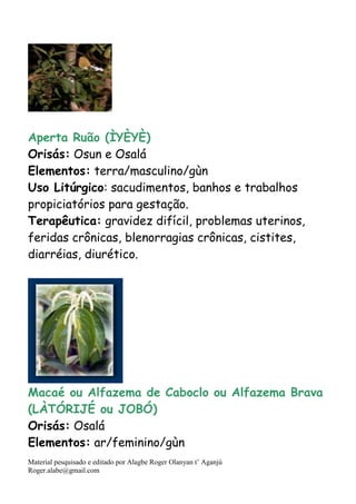 Material pesquisado e editado por Alagbe Roger Olanyan t’ Aganjú
Roger.alabe@gmail.com
Aperta Ruão (ÌYÈYÈ)
Orisás: Osun e Osalá
Elementos: terra/masculino/gùn
Uso Litúrgico: sacudimentos, banhos e trabalhos
propiciatórios para gestação.
Terapêutica: gravidez difícil, problemas uterinos,
feridas crônicas, blenorragias crônicas, cistites,
diarréias, diurético.
Macaé ou Alfazema de Caboclo ou Alfazema Brava
(LÀTÓRIJÉ ou JOBÓ)
Orisás: Osalá
Elementos: ar/feminino/gùn
 