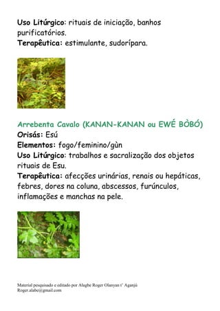 Material pesquisado e editado por Alagbe Roger Olanyan t’ Aganjú
Roger.alabe@gmail.com
Uso Litúrgico: rituais de iniciação, banhos
purificatórios.
Terapêutica: estimulante, sudorípara.
Arrebenta Cavalo (KANAN-KANAN ou EWÉ BÒBÓ)
Orisás: Esú
Elementos: fogo/feminino/gùn
Uso Litúrgico: trabalhos e sacralização dos objetos
rituais de Esu.
Terapêutica: afecções urinárias, renais ou hepáticas,
febres, dores na coluna, abscessos, furúnculos,
inflamações e manchas na pele.
 