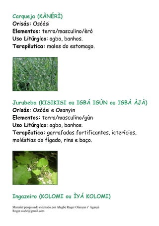Material pesquisado e editado por Alagbe Roger Olanyan t’ Aganjú
Roger.alabe@gmail.com
Carqueja (KÀNÉRÌ)
Orisás: Osòósi
Elementos: terra/masculino/èrò
Uso Litúrgico: agbo, banhos.
Terapêutica: males do estomago.
Jurubeba (KISIKISI ou IGBÁ IGÚN ou IGBÁ ÀJÀ)
Orisás: Osòósi e Osanyin
Elementos: terra/masculino/gùn
Uso Litúrgico: agbo, banhos.
Terapêutica: garrafadas fortificantes, icterícias,
moléstias do fígado, rins e baço.
Ingazeiro (KOLOMI ou ÌYÁ KOLOMI)
 