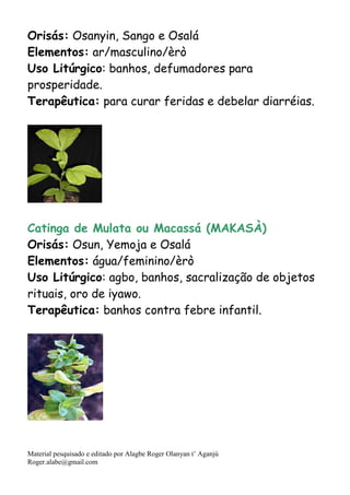 Material pesquisado e editado por Alagbe Roger Olanyan t’ Aganjú
Roger.alabe@gmail.com
Orisás: Osanyin, Sango e Osalá
Elementos: ar/masculino/èrò
Uso Litúrgico: banhos, defumadores para
prosperidade.
Terapêutica: para curar feridas e debelar diarréias.
Catinga de Mulata ou Macassá (MAKASÀ)
Orisás: Osun, Yemoja e Osalá
Elementos: água/feminino/èrò
Uso Litúrgico: agbo, banhos, sacralização de objetos
rituais, oro de iyawo.
Terapêutica: banhos contra febre infantil.
 