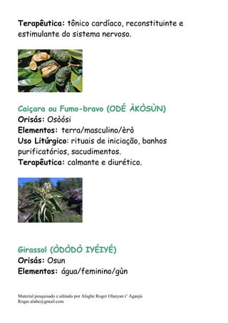 Material pesquisado e editado por Alagbe Roger Olanyan t’ Aganjú
Roger.alabe@gmail.com
Terapêutica: tônico cardíaco, reconstituinte e
estimulante do sistema nervoso.
Caiçara ou Fumo-bravo (ODÉ ÀKÒSÙN)
Orisás: Osòósi
Elementos: terra/masculino/èrò
Uso Litúrgico: rituais de iniciação, banhos
purificatórios, sacudimentos.
Terapêutica: calmante e diurético.
Girassol (ÒDÒDÒ IYÉIYÉ)
Orisás: Osun
Elementos: água/feminino/gùn
 