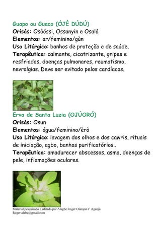 Material pesquisado e editado por Alagbe Roger Olanyan t’ Aganjú
Roger.alabe@gmail.com
Guapo ou Guaco (ÒJÈ DÚDÚ)
Orisás: Osòóssi, Ossanyin e Osalá
Elementos: ar/feminino/gùn
Uso Litúrgico: banhos de proteção e de saúde.
Terapêutica: calmante, cicatrizante, gripes e
resfriados, doenças pulmonares, reumatismo,
nevralgias. Deve ser evitado pelos cardíacos.
Erva de Santa Luzia (OJÚORÓ)
Orisás: Osun
Elementos: água/feminino/èrò
Uso Litúrgico: lavagem dos olhos e dos cawris, rituais
de iniciação, agbo, banhos purificatórios..
Terapêutica: amadurecer abscessos, asma, doenças de
pele, inflamações oculares.
 