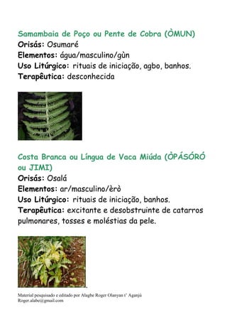 Material pesquisado e editado por Alagbe Roger Olanyan t’ Aganjú
Roger.alabe@gmail.com
Samambaia de Poço ou Pente de Cobra (ÒMUN)
Orisás: Osumaré
Elementos: água/masculino/gùn
Uso Litúrgico: rituais de iniciação, agbo, banhos.
Terapêutica: desconhecida
Costa Branca ou Língua de Vaca Miúda (ÒPÁSÓRÓ
ou JIMI)
Orisás: Osalá
Elementos: ar/masculino/èrò
Uso Litúrgico: rituais de iniciação, banhos.
Terapêutica: excitante e desobstruinte de catarros
pulmonares, tosses e moléstias da pele.
.
 