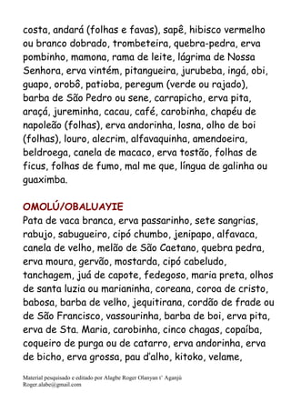 Material pesquisado e editado por Alagbe Roger Olanyan t’ Aganjú
Roger.alabe@gmail.com
costa, andará (folhas e favas), sapê, hibisco vermelho
ou branco dobrado, trombeteira, quebra-pedra, erva
pombinho, mamona, rama de leite, lágrima de Nossa
Senhora, erva vintém, pitangueira, jurubeba, ingá, obi,
guapo, orobô, patioba, peregum (verde ou rajado),
barba de São Pedro ou sene, carrapicho, erva pita,
araçá, jureminha, cacau, café, carobinha, chapéu de
napoleão (folhas), erva andorinha, losna, olho de boi
(folhas), louro, alecrim, alfavaquinha, amendoeira,
beldroega, canela de macaco, erva tostão, folhas de
ficus, folhas de fumo, mal me que, língua de galinha ou
guaximba.
OMOLÚ/OBALUAYIE
Pata de vaca branca, erva passarinho, sete sangrias,
rabujo, sabugueiro, cipó chumbo, jenipapo, alfavaca,
canela de velho, melão de São Caetano, quebra pedra,
erva moura, gervão, mostarda, cipó cabeludo,
tanchagem, juá de capote, fedegoso, maria preta, olhos
de santa luzia ou marianinha, coreana, coroa de cristo,
babosa, barba de velho, jequitirana, cordão de frade ou
de São Francisco, vassourinha, barba de boi, erva pita,
erva de Sta. Maria, carobinha, cinco chagas, copaíba,
coqueiro de purga ou de catarro, erva andorinha, erva
de bicho, erva grossa, pau d’alho, kitoko, velame,
 