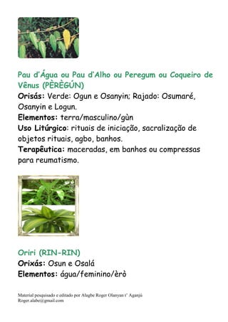 Material pesquisado e editado por Alagbe Roger Olanyan t’ Aganjú
Roger.alabe@gmail.com
Pau d’Água ou Pau d’Alho ou Peregum ou Coqueiro de
Vênus (PÈRÈGÚN)
Orisás: Verde: Ogun e Osanyin; Rajado: Osumaré,
Osanyin e Logun.
Elementos: terra/masculino/gùn
Uso Litúrgico: rituais de iniciação, sacralização de
objetos rituais, agbo, banhos.
Terapêutica: maceradas, em banhos ou compressas
para reumatismo.
Oriri (RIN-RIN)
Orixás: Osun e Osalá
Elementos: água/feminino/èrò
 