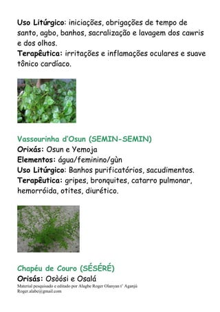 Material pesquisado e editado por Alagbe Roger Olanyan t’ Aganjú
Roger.alabe@gmail.com
Uso Litúrgico: iniciações, obrigações de tempo de
santo, agbo, banhos, sacralização e lavagem dos cawris
e dos olhos.
Terapêutica: irritações e inflamações oculares e suave
tônico cardíaco.
Vassourinha d’Osun (SEMIN-SEMIN)
Orixás: Osun e Yemoja
Elementos: água/feminino/gùn
Uso Litúrgico: Banhos purificatórios, sacudimentos.
Terapêutica: gripes, bronquites, catarro pulmonar,
hemorróida, otites, diurético.
Chapéu de Couro (SÉSÉRÉ)
Orisás: Osòósi e Osalá
 