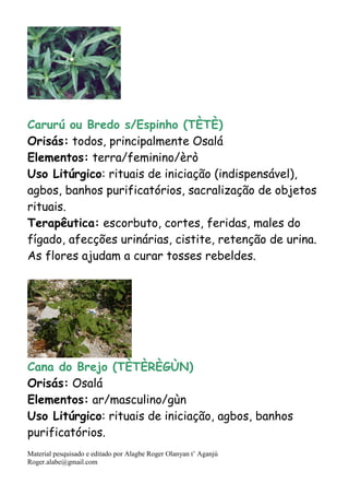 Material pesquisado e editado por Alagbe Roger Olanyan t’ Aganjú
Roger.alabe@gmail.com
Carurú ou Bredo s/Espinho (TÈTÈ)
Orisás: todos, principalmente Osalá
Elementos: terra/feminino/èrò
Uso Litúrgico: rituais de iniciação (indispensável),
agbos, banhos purificatórios, sacralização de objetos
rituais.
Terapêutica: escorbuto, cortes, feridas, males do
fígado, afecções urinárias, cistite, retenção de urina.
As flores ajudam a curar tosses rebeldes.
Cana do Brejo (TÈTÈRÈGÙN)
Orisás: Osalá
Elementos: ar/masculino/gùn
Uso Litúrgico: rituais de iniciação, agbos, banhos
purificatórios.
 