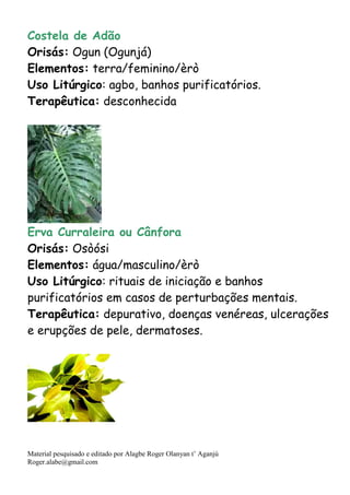 Material pesquisado e editado por Alagbe Roger Olanyan t’ Aganjú
Roger.alabe@gmail.com
Costela de Adão
Orisás: Ogun (Ogunjá)
Elementos: terra/feminino/èrò
Uso Litúrgico: agbo, banhos purificatórios.
Terapêutica: desconhecida
Erva Curraleira ou Cânfora
Orisás: Osòósi
Elementos: água/masculino/èrò
Uso Litúrgico: rituais de iniciação e banhos
purificatórios em casos de perturbações mentais.
Terapêutica: depurativo, doenças venéreas, ulcerações
e erupções de pele, dermatoses.
 