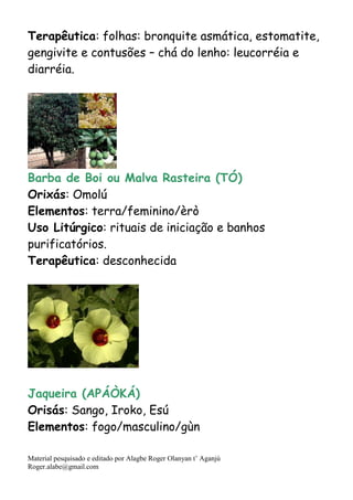 Material pesquisado e editado por Alagbe Roger Olanyan t’ Aganjú
Roger.alabe@gmail.com
Terapêutica: folhas: bronquite asmática, estomatite,
gengivite e contusões – chá do lenho: leucorréia e
diarréia.
Barba de Boi ou Malva Rasteira (TÓ)
Orixás: Omolú
Elementos: terra/feminino/èrò
Uso Litúrgico: rituais de iniciação e banhos
purificatórios.
Terapêutica: desconhecida
Jaqueira (APÁÒKÁ)
Orisás: Sango, Iroko, Esú
Elementos: fogo/masculino/gùn
 