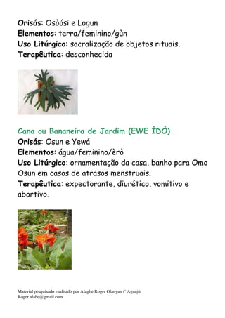 Material pesquisado e editado por Alagbe Roger Olanyan t’ Aganjú
Roger.alabe@gmail.com
Orisás: Osòósi e Logun
Elementos: terra/feminino/gùn
Uso Litúrgico: sacralização de objetos rituais.
Terapêutica: desconhecida
Cana ou Bananeira de Jardim (EWE ÌDÒ)
Orisás: Osun e Yewá
Elementos: água/feminino/èrò
Uso Litúrgico: ornamentação da casa, banho para Omo
Osun em casos de atrasos menstruais.
Terapêutica: expectorante, diurético, vomitivo e
abortivo.
 
