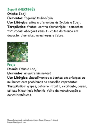 Material pesquisado e editado por Alagbe Roger Olanyan t’ Aganjú
Roger.alabe@gmail.com
Sapoti (NEKIGBÉ)
Orisás: Ibeji
Elementos: fogo/masculino/gùn
Uso Litúrgico: atins e oferendas às Iyabás e Ibeji.
Terapêutica: frutos: contra desnutrição – sementes
trituradas: afecções renais – casca do tronco em
decocto: diarréias, verminoses e febre.
Poejo
Orixás: Osun e Ibeji
Elementos: água/feminino/èrò
Uso Litúrgico: Sacudimentos e banhos em crianças ou
mulheres com problemas no aparelho reprodutor.
Terapêutica: gripes, catarro infantil, excitante, gases,
cólicas intestinais infantis, falta de menstruação e
dores histéricas.
 