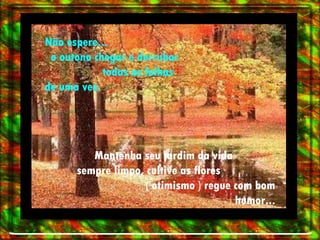 Não espere...  o outono chegar e derrubar  todas as folhas de uma vez. Mantenha seu jardim da vida  sempre limpo, cultive as flores  ( otimismo ) regue com bom humor... 