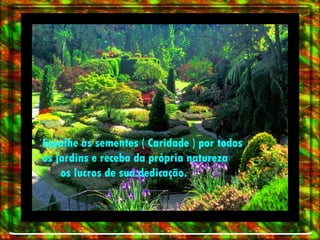Espalhe as sementes ( Caridade ) por todos  os jardins e receba da própria natureza  os lucros de sua dedicação. 