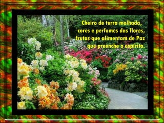 Cheiro de terra molhada,  cores e perfumes das flores, frutos que alimentam de Paz que preenche o espírito. 