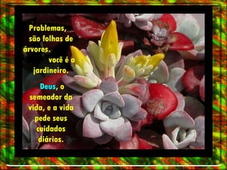 Problemas,  são folhas de árvores.  você é o jardineiro. Deus , o semeador da vida, e a vida pede seus cuidados diários. 