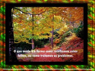 O que muda é a forma como recolhemos estas folhas, ou como tratamos os problemas. 