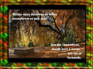 Muitas vezes deixamos as folhas acumularem-se pelo chão.  Sem dar importância,  devida para o monte  que vai se formando. 