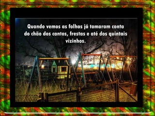 Quando vemos as folhas já tomaram conta do chão dos cantos, frestas e até dos quintais vizinhos. 