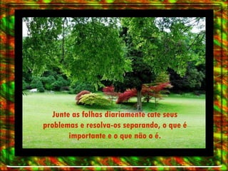 Junte as folhas diariamente cate seus problemas e resolva-os separando, o que é importante e o que não o é. 
