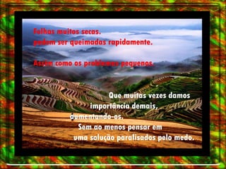 Folhas muitos secas.  podem ser queimadas rapidamente.  Assim como os problemas pequenos.  Que muitas vezes damos  importância demais,  aumentando-os.  Sem ao menos pensar em  uma solução paralisados pelo medo. 