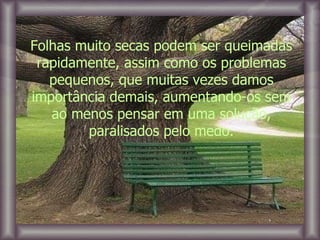 Folhas muito secas podem ser queimadas rapidamente, assim como os problemas pequenos, que muitas vezes damos importância demais, aumentando-os sem ao menos pensar em uma solução, paralisados pelo medo. 