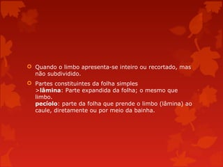  Quando o limbo apresenta-se inteiro ou recortado, mas
não subdividido.
 Partes constituintes da folha simples
>lâmina: Parte expandida da folha; o mesmo que
limbo.
pecíolo: parte da folha que prende o limbo (lâmina) ao
caule, diretamente ou por meio da bainha.
 