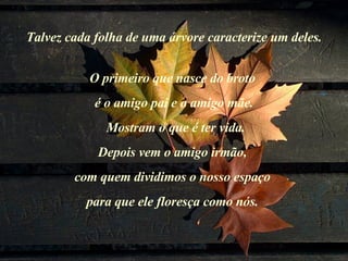 Talvez cada folha de uma árvore caracterize um deles. O primeiro que nasce do broto  é o amigo pai e o amigo mãe. Mostram o que é ter vida. Depois vem o amigo irmão,  com quem dividimos o nosso espaço  para que ele floresça como nós.  
