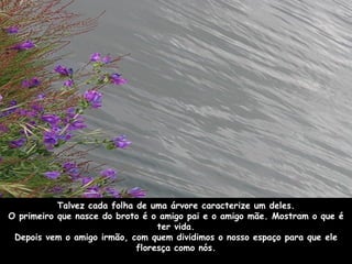 Talvez cada folha de uma árvore caracterize um deles. O primeiro que nasce do broto é o amigo pai e o amigo mãe. Mostram o que é ter vida. Depois vem o amigo irmão, com quem dividimos o nosso espaço para que ele floresça como nós. 