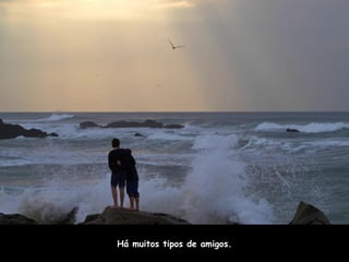 Há muitos tipos de amigos. 