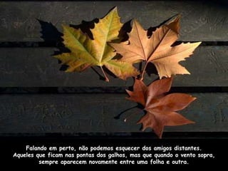 Falando em perto, não podemos esquecer dos amigos distantes. 
Aqueles que ficam nas pontas dos galhos, mas que quando o vento sopra, 
sempre aparecem novamente entre uma folha e outra. 
 