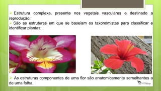  Estrutura complexa, presente nos vegetais vasculares e destinado a
reprodução;
 São as estruturas em que se baseiam os taxonomistas para classificar e
identificar plantas;
 As estruturas componentes de uma flor são anatomicamente semelhantes a
de uma folha.
 