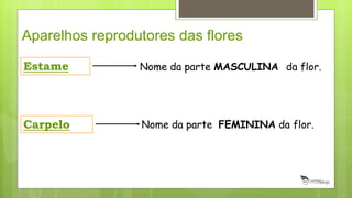 Aparelhos reprodutores das flores
Estame Nome da parte MASCULINA da flor.
Carpelo Nome da parte FEMININA da flor.
 