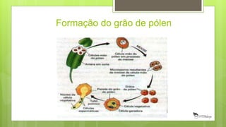 Formação do grão de pólen
 