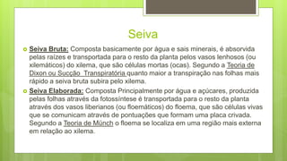 Seiva
 Seiva Bruta: Composta basicamente por água e sais minerais, é absorvida
pelas raízes e transportada para o resto da planta pelos vasos lenhosos (ou
xilemáticos) do xilema, que são células mortas (ocas). Segundo a Teoria de
Dixon ou Sucção Transpiratória quanto maior a transpiração nas folhas mais
rápido a seiva bruta subira pelo xilema.
 Seiva Elaborada: Composta Principalmente por água e açúcares, produzida
pelas folhas através da fotossíntese é transportada para o resto da planta
através dos vasos liberianos (ou floemáticos) do floema, que são células vivas
que se comunicam através de pontuações que formam uma placa crivada.
Segundo a Teoria de Münch o floema se localiza em uma região mais externa
em relação ao xilema.
 