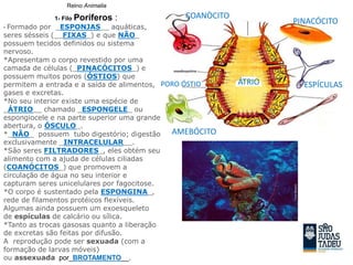 Reino Animalia
1- Filo Poríferos :
• Formado por _ESPONJAS__ aquáticas,
seres sésseis (__FIXAS_) e que NÃO_
possuem tecidos definidos ou sistema
nervoso.
*Apresentam o corpo revestido por uma
camada de células (_PINACÓCITOS_) e
possuem muitos poros (ÓSTIOS) que
permitem a entrada e a saída de alimentos,
gases e excretas.
*No seu interior existe uma espécie de
_ÁTRIO__ chamado _ESPONGELE_ ou
espongiocele e na parte superior uma grande
abertura, o ÓSCULO_.
*_NÃO_ possuem tubo digestório; digestão
exclusivamente _INTRACELULAR__.
*São seres FILTRADORES_, eles obtém seu
alimento com a ajuda de células ciliadas
(COANÓCITOS_) que promovem a
circulação de água no seu interior e
capturam seres unicelulares por fagocitose.
*O corpo é sustentado pela ESPONGINA_,
rede de filamentos protéicos flexíveis.
Algumas ainda possuem um exoesqueleto
de espículas de calcário ou sílica.
*Tanto as trocas gasosas quanto a liberação
de excretas são feitas por difusão.
A reprodução pode ser sexuada (com a
formação de larvas móveis)
ou assexuada por_BROTAMENTO__.
PINACÓCITO
COANÒCITO
ÁTRIO ESPÍCULASPORO ÓSTIO
AMEBÓCITO
 