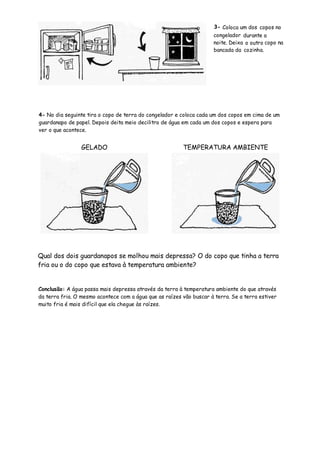 3- Coloca um dos copos no
                                                                     congelador durante a
                                                                     noite. Deixa o outro copo na
                                                                     bancada da cozinha.




4- No dia seguinte tira o copo de terra do congelador e coloca cada um dos copos em cima de um
guardanapo de papel. Depois deita meio decilitro de água em cada um dos copos e espera para
ver o que acontece.


                 GELADO                                  TEMPERATURA AMBIENTE




Qual dos dois guardanapos se molhou mais depressa? O do copo que tinha a terra
fria ou o do copo que estava à temperatura ambiente?


Conclusão: A água passa mais depressa através da terra à temperatura ambiente do que através
da terra fria. O mesmo acontece com a água que as raízes vão buscar à terra. Se a terra estiver
muito fria é mais difícil que ela chegue às raízes.
 