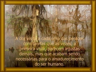 A dor visita a cada uma das pessoas com tarefas que as vezes, a primeira vista, parecem injustas demais, mas que acabam sendo necessárias para o amadurecimento do ser humano. 