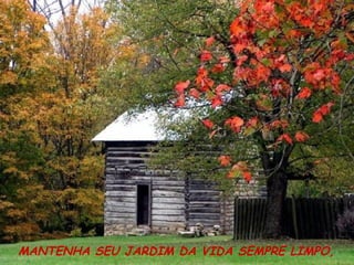 MANTENHA SEU JARDIM DA VIDA SEMPRE LIMPO, 