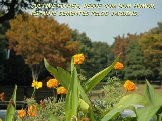 CULTIVE FLORES, REGUE COM BOM HUMOR, ESPALHE SEMENTES PELOS JARDINS, 